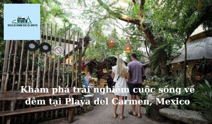 Khám phá trải nghiệm cuộc sống về đêm tại Playa del Carmen, Mexico