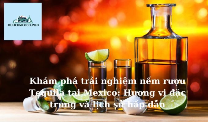 Khám phá trải nghiệm nếm rượu Tequila tại Mexico Hương vị đặc trưng và lịch sử hấp dẫn