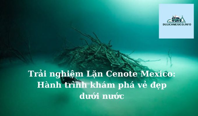 Trải nghiệm Lặn Cenote Mexico Hành trình khám phá vẻ đẹp dưới nước